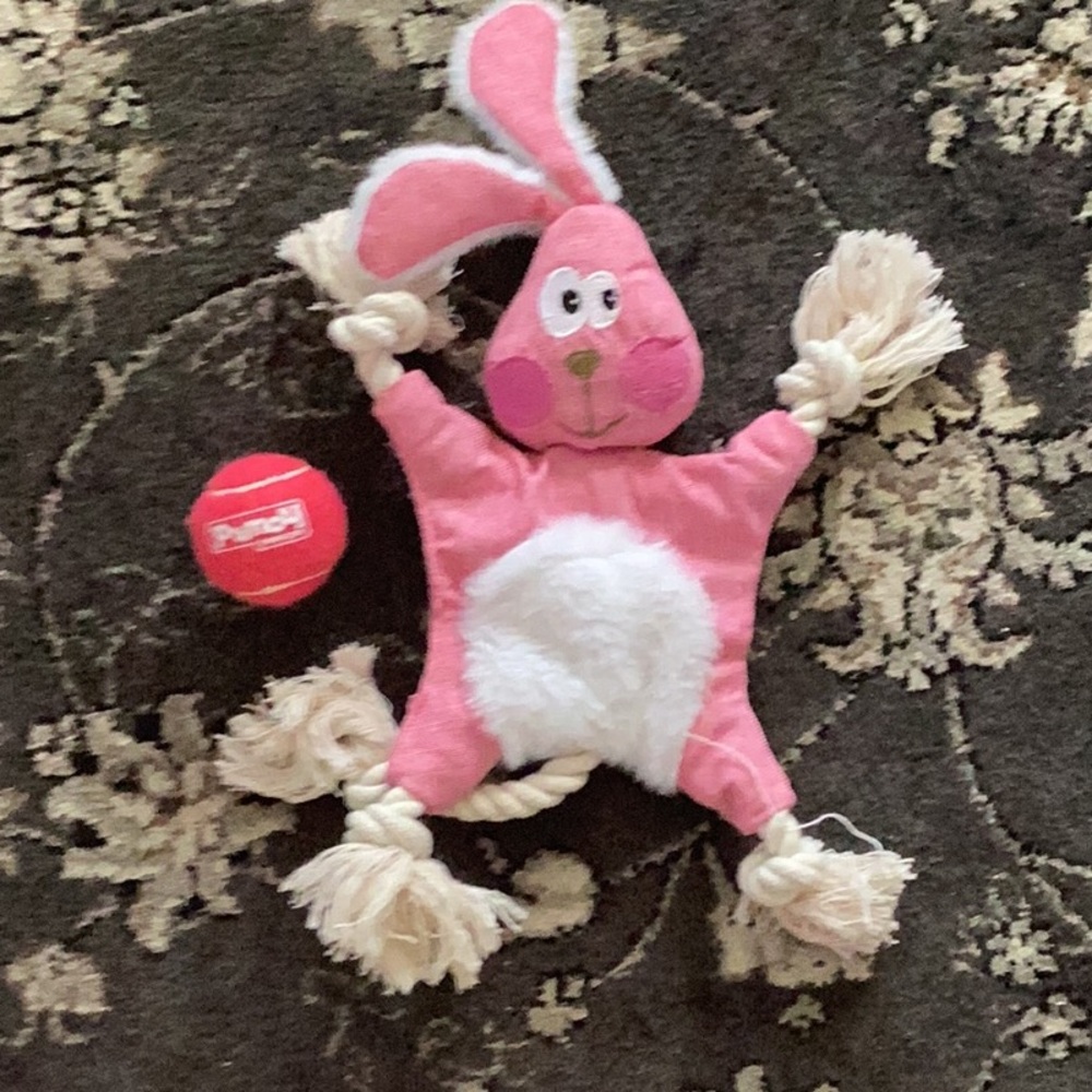 Dog toys